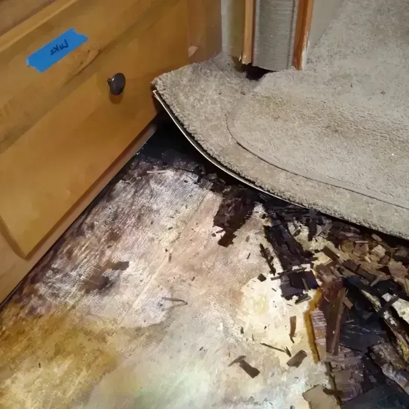 Wood Floor Water Damage in Chatham, IL